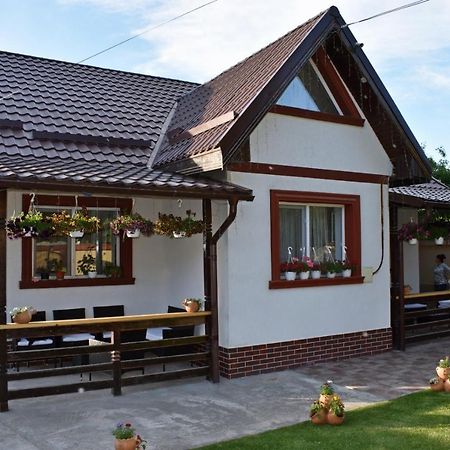 Casa De Vacanta Dalia Si Crina Babadag 외부 사진