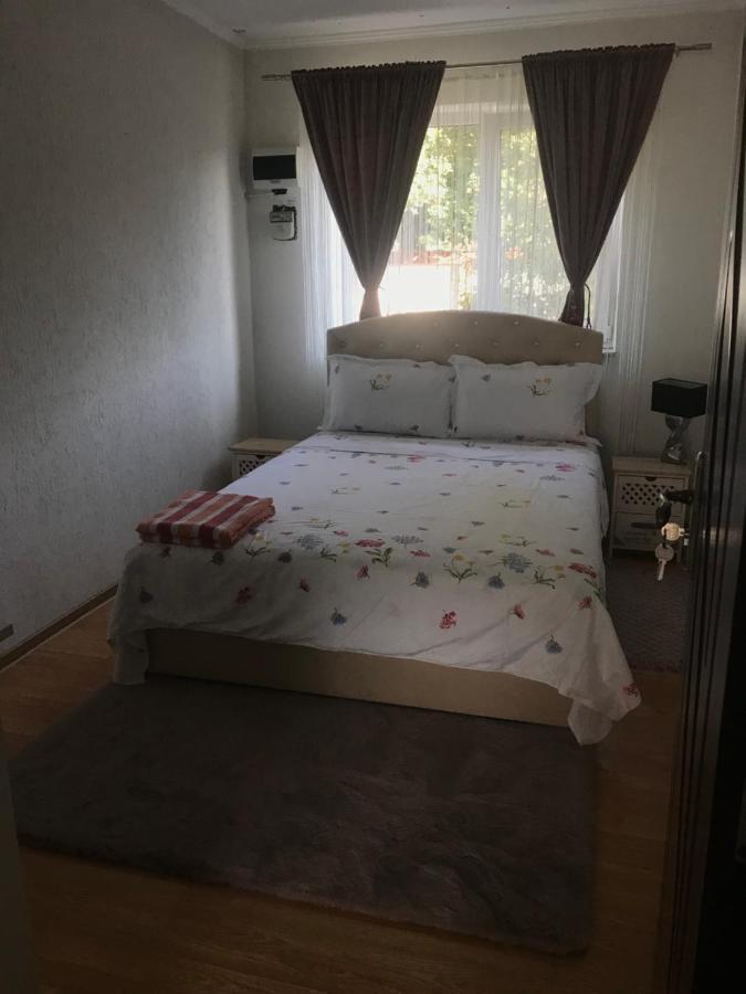 Casa De Vacanta Dalia Si Crina Babadag 외부 사진