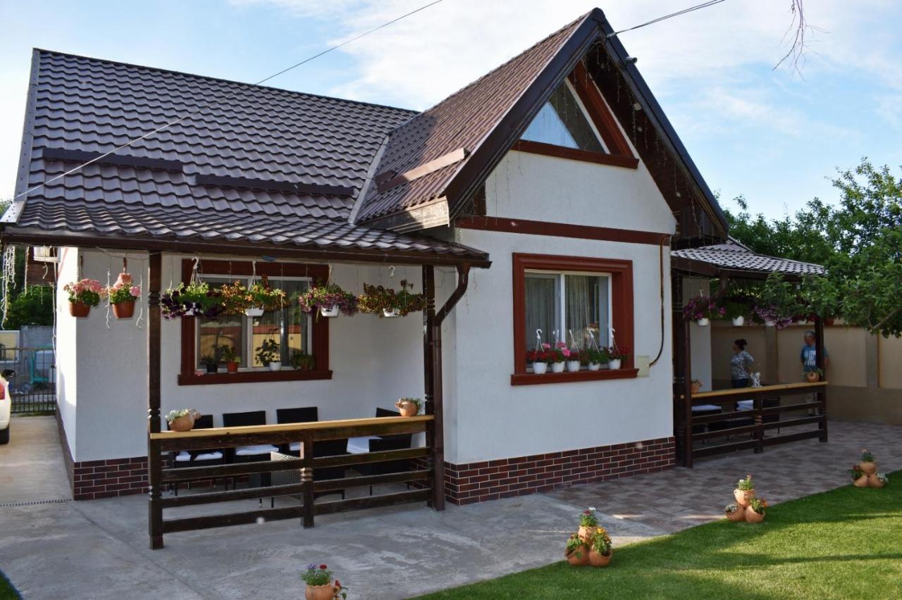 Casa De Vacanta Dalia Si Crina Babadag 외부 사진
